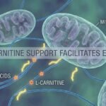 Using an incline treadmill to maintain a steady fat burning heart rate.